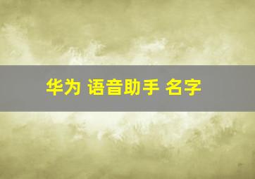 华为 语音助手 名字